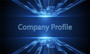 company profile 1 4 e1619400213822